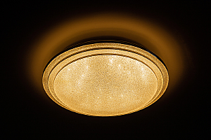 Светильник потолочный 10268 10268/S LED